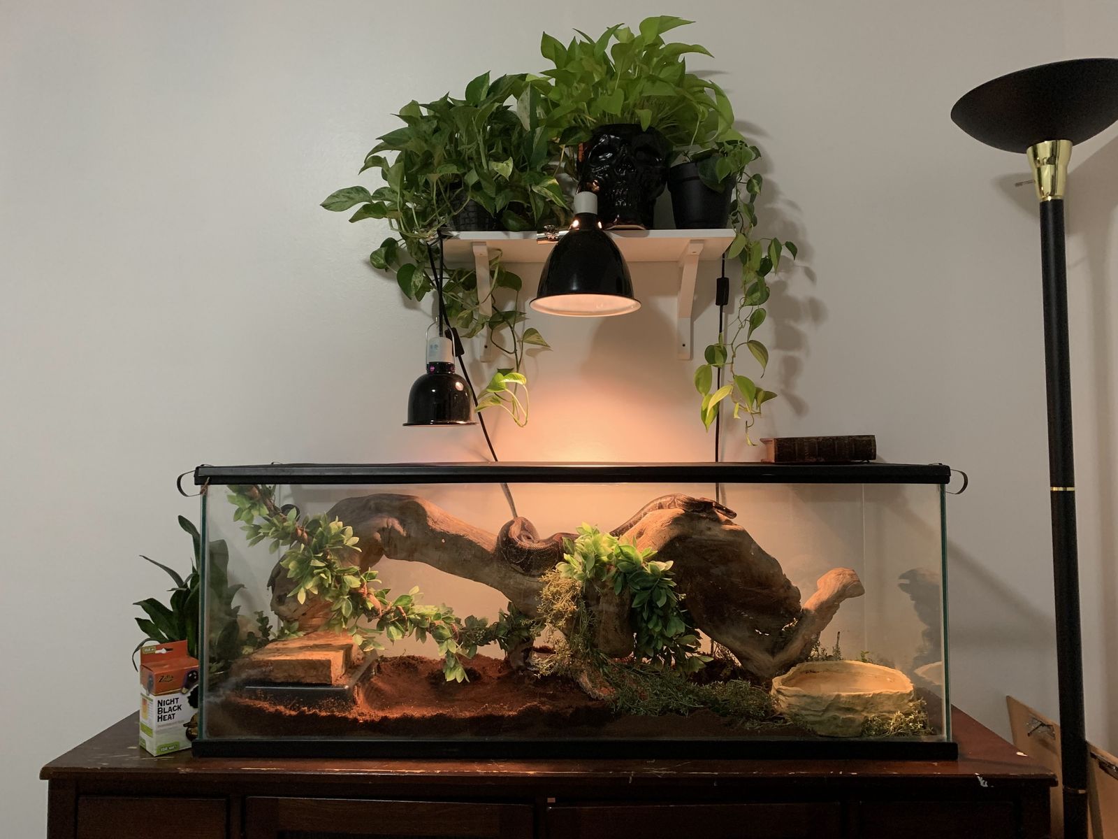Terrarium / aquarium 120 gal