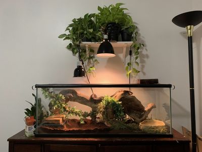 Terrarium / aquarium 120 gal
