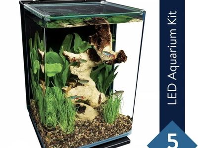 Beautiful 5 gallon fish tank