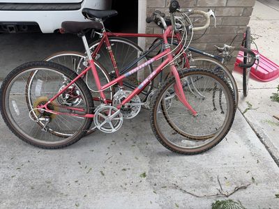 Bikes and bike trailer