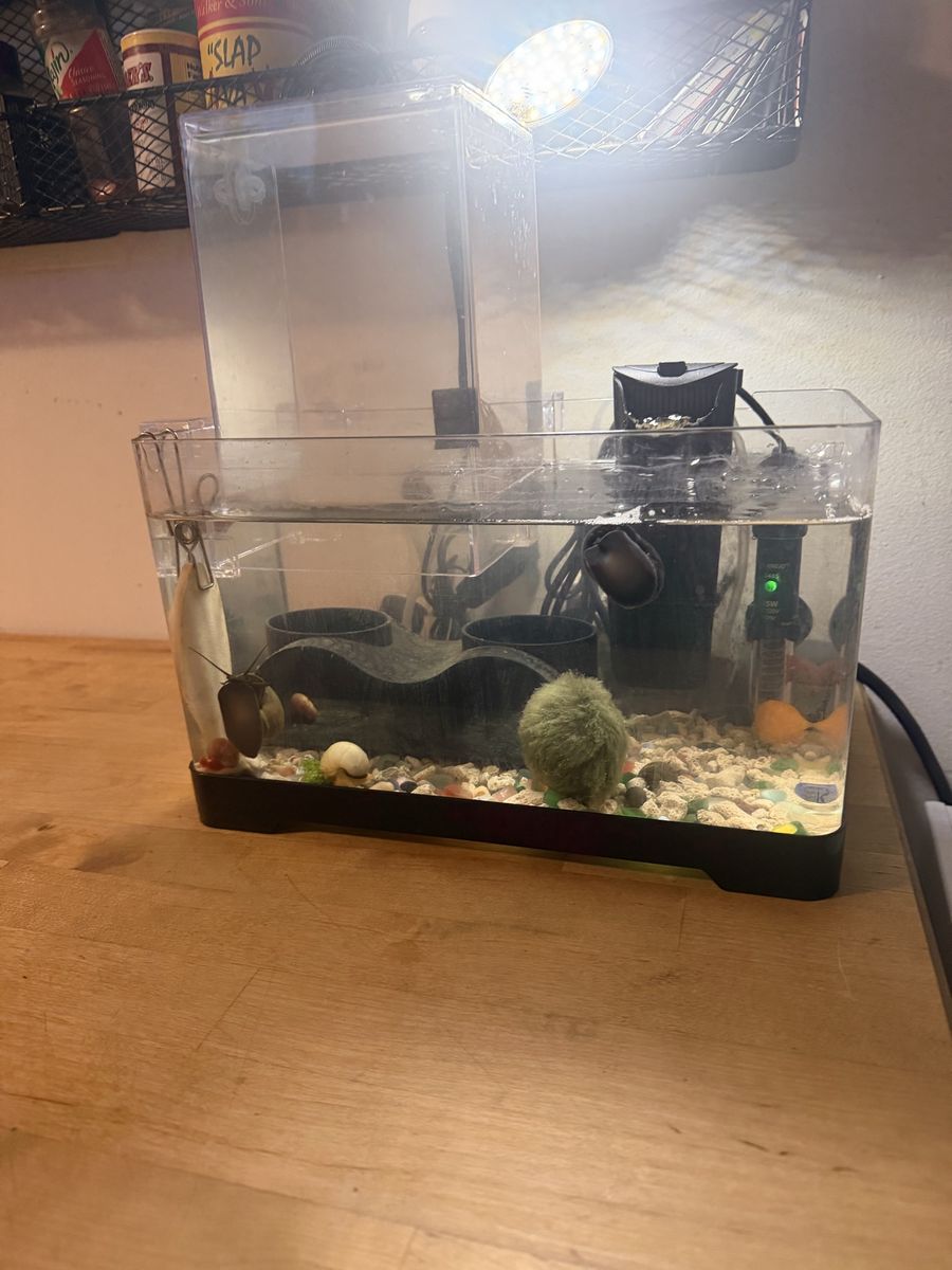 3 gallon tank and accessories