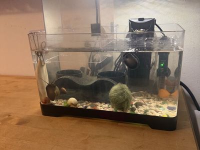 3 gallon tank and accessories