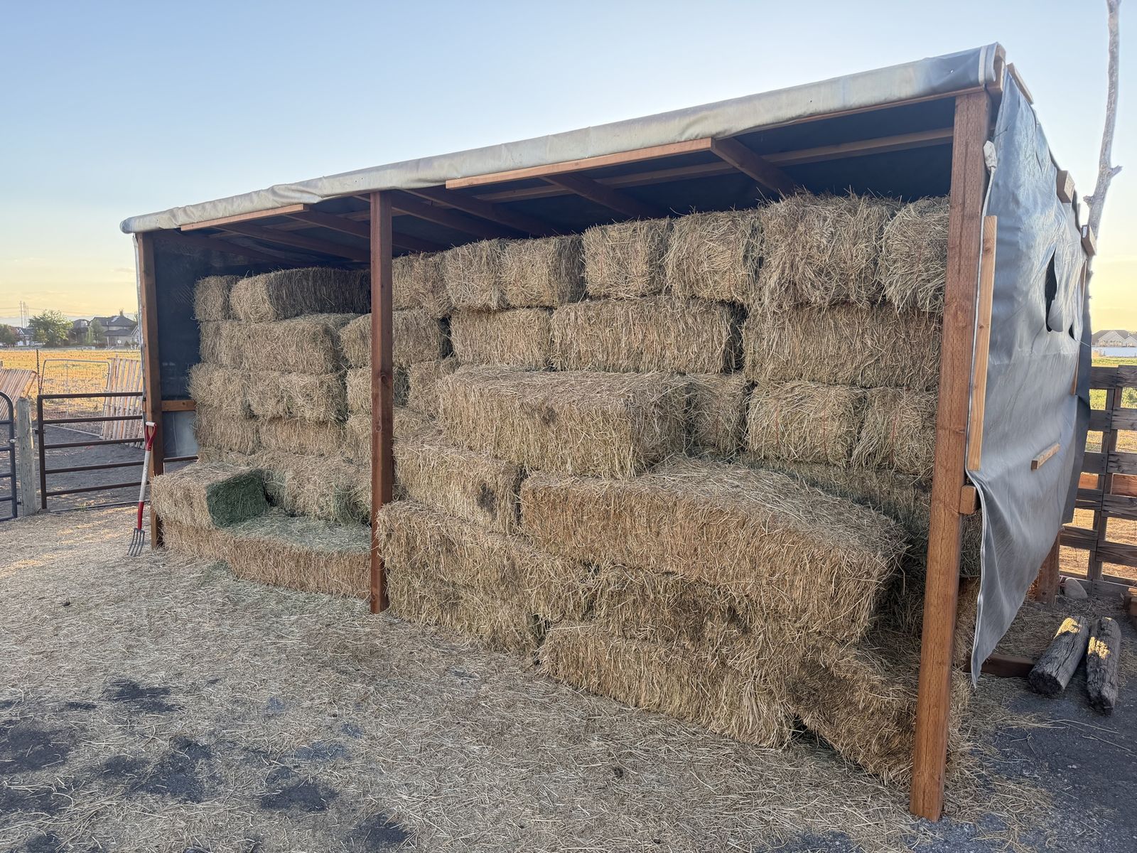 Alfalfa Hay