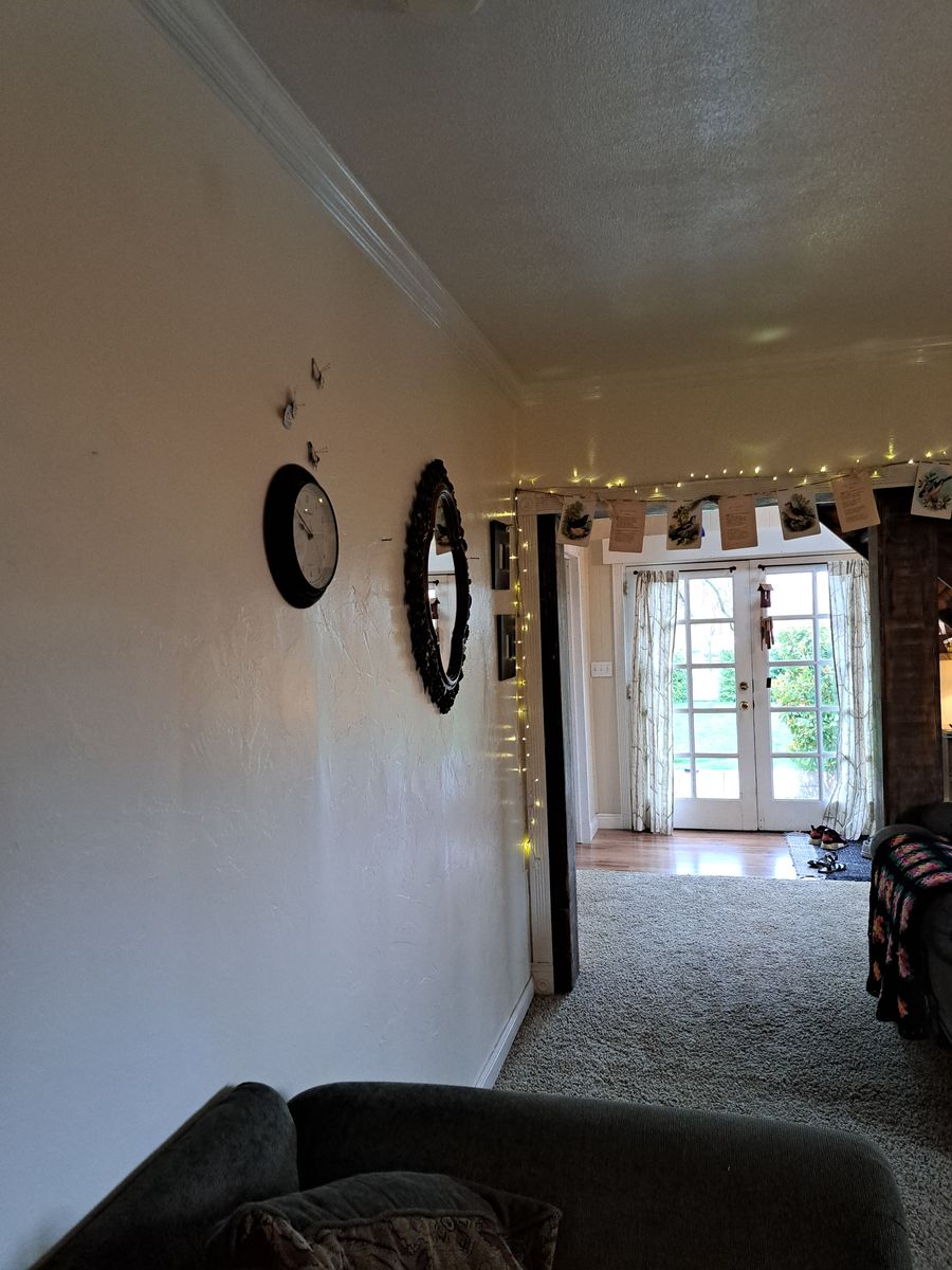 Main image 2