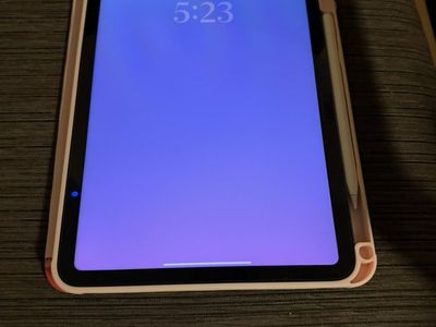 Ipad 10th Gen 64gb Wifi Only + apple Pencil