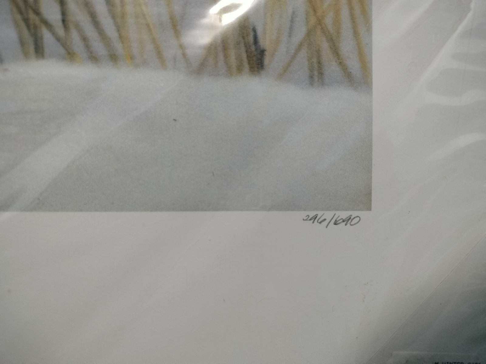 Main image 4