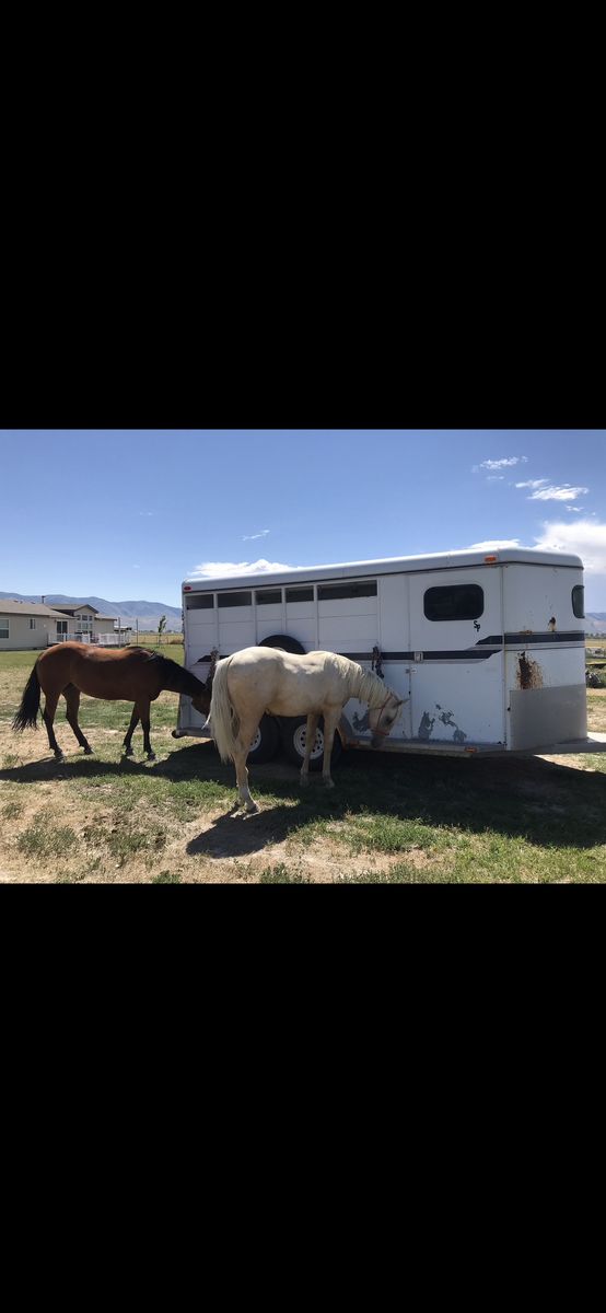 1996 Logan Ranger III 3 Horse Slant Trailer