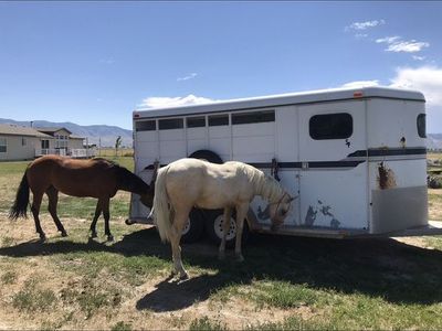 1996 Logan Ranger III 3 Horse Slant Trailer