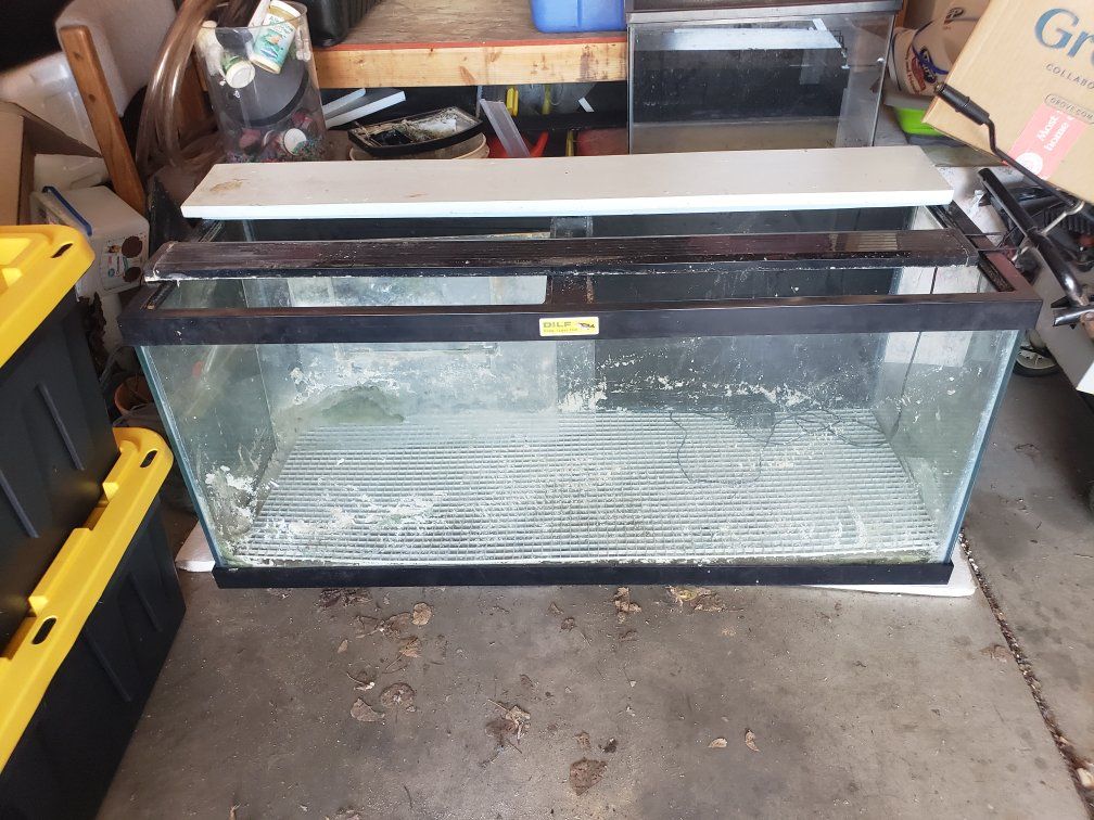 75 gallon Glass Aquarium Fish Tank