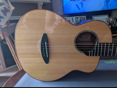 Ultimate Acoustic Bundle - aNueNue M52 Bird Guitar & Randolph Ukulele