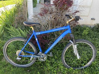 Specialized Rockhopper Comp – Great rider or retro 21” frame