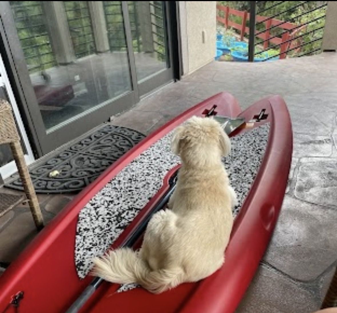 XL Lifetime Paddle Board