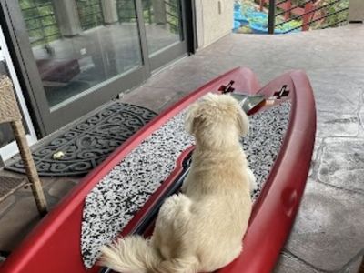 XL Lifetime Paddle Board