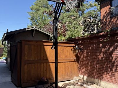 Free adjustable basketball hoop