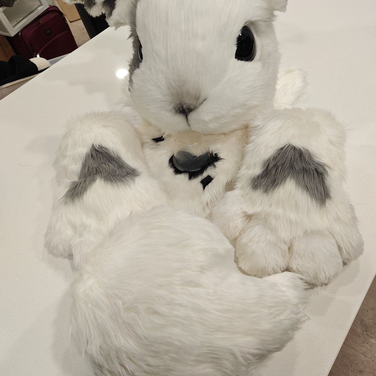 White and Gray Rabbit Bunny Fursuit Partial Costume Head Paws and Tail Set furry