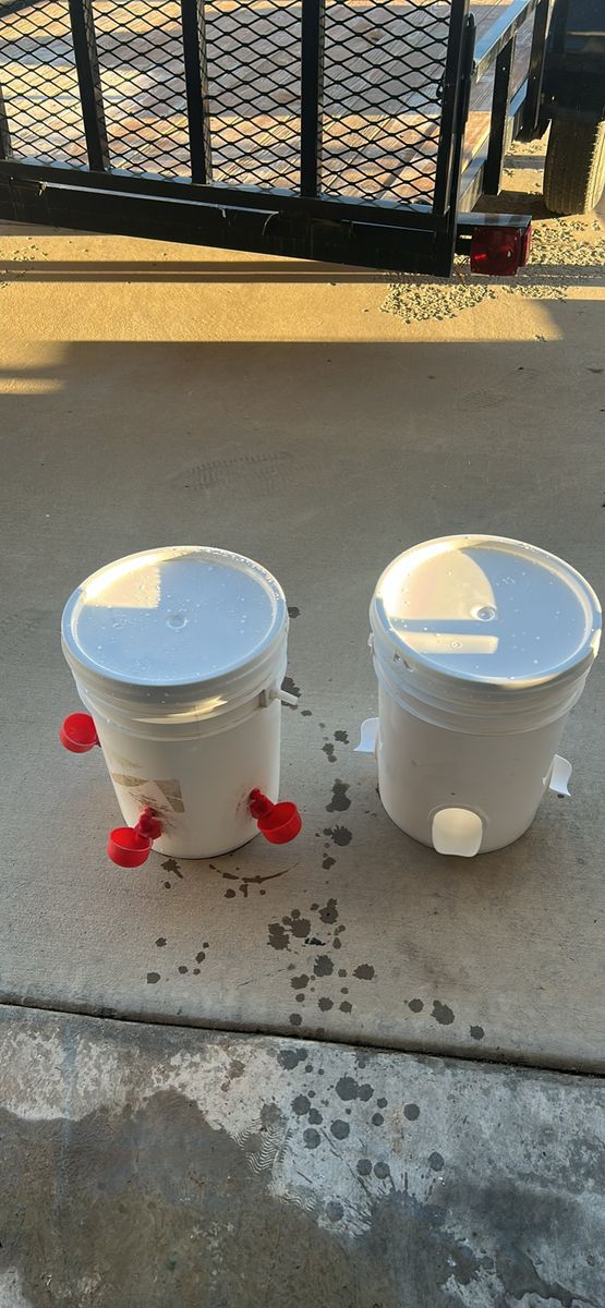 Water And Food Feeders