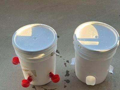 Water And Food Feeders