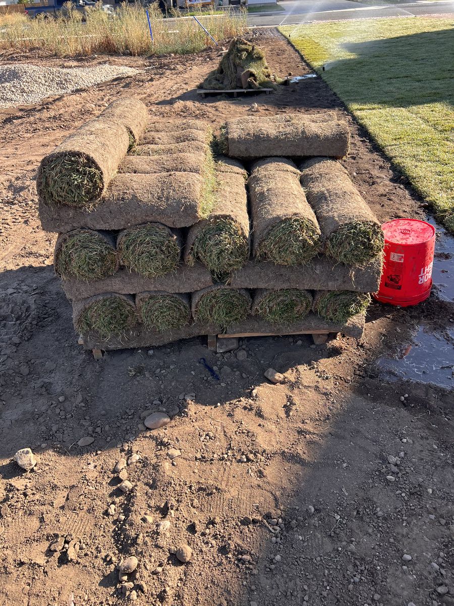 Sod for sale