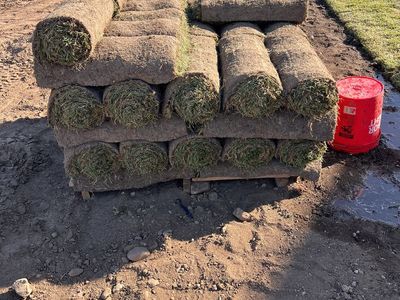 Sod for sale
