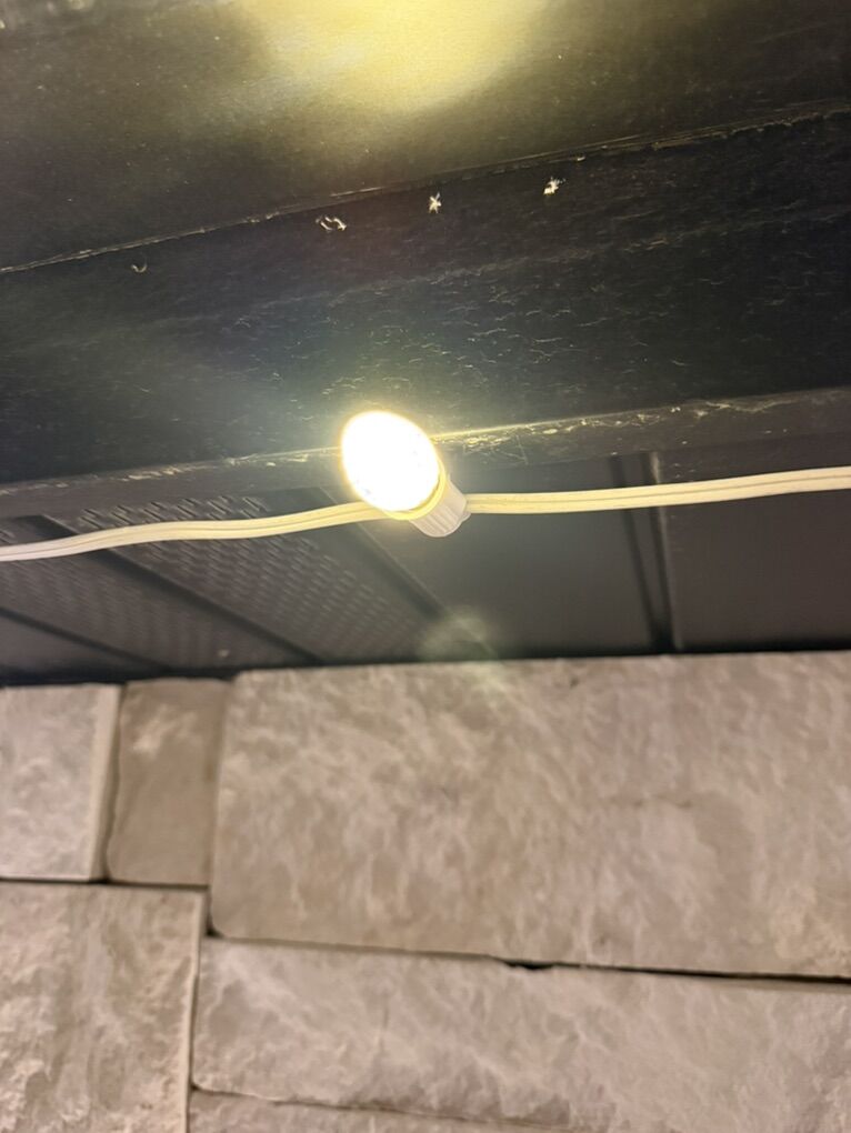 Christmas Lights C7 LED Bulbs