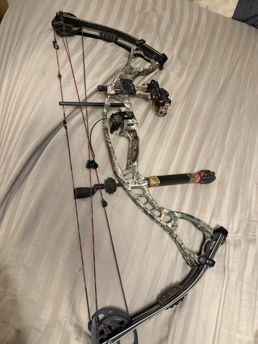 Hoyt alpha berner bow