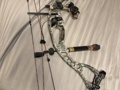 Hoyt alpha berner bow