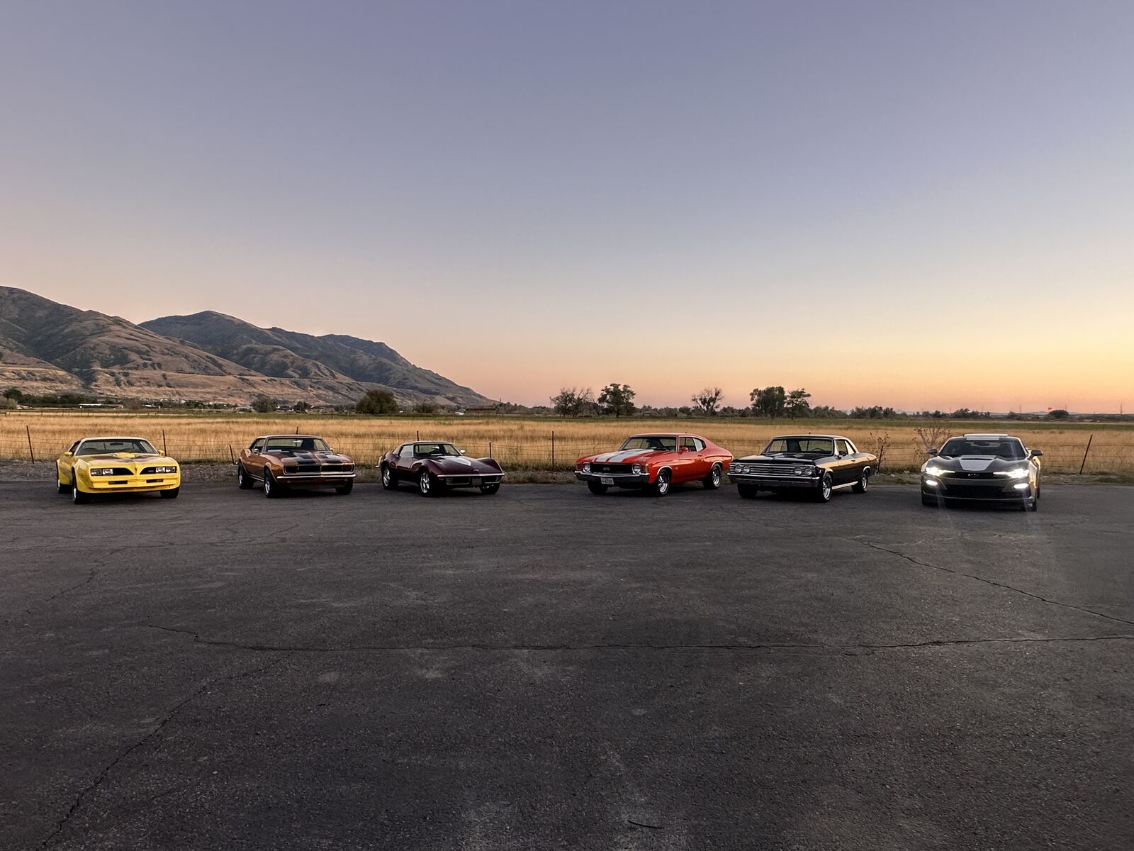 Photo shoot backdrop