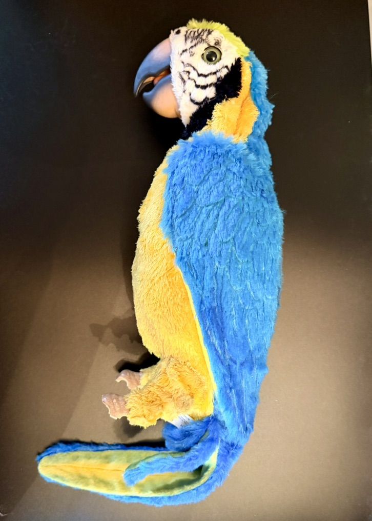 Main image 5