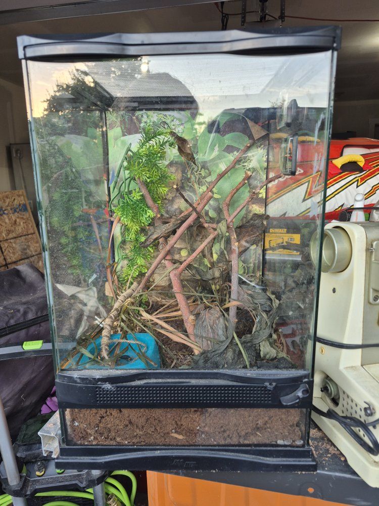 Glass Reptile Terrarium Enclosure with Thermometer and Hygrometer