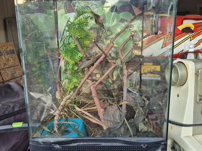 Glass Reptile Terrarium Enclosure with Thermometer and Hygrometer