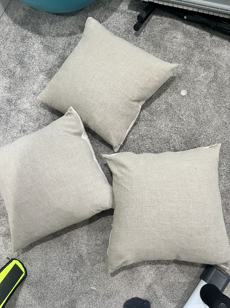 Feather Couch Pillows