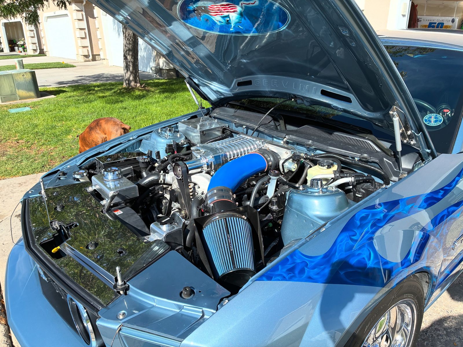 Main image 7