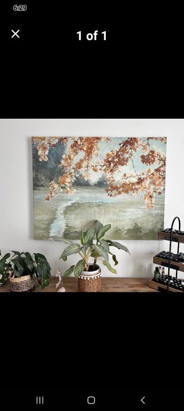 44” wide / 34” tall Like New Canvas  Picture