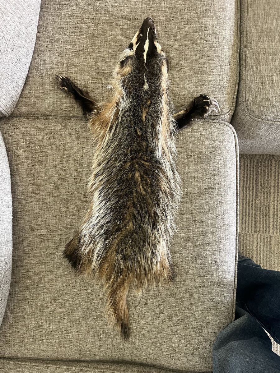 Badger Skin