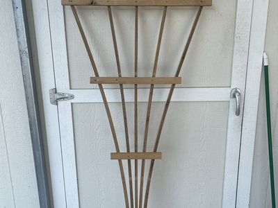 Wooden Fan Garden Trellis for Climbing Plants