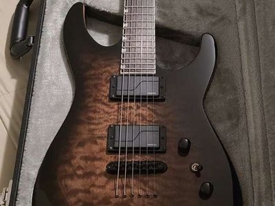 ESP LTD Josh Middleton JM-II, PLEK PRO treated & Tusq Nut Replacement.