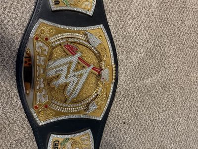 Official WWE Championship Replica Title Belt Adult Size Gold/Silver with Black Strap - Authentic Collectible