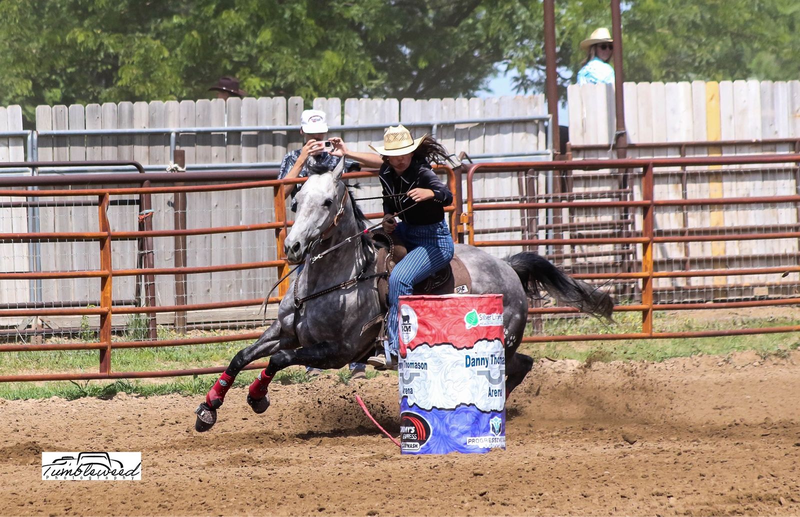 7 Year Old AQHA Barrel Mare