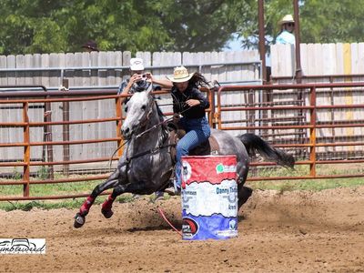 7 Year Old AQHA Barrel Mare