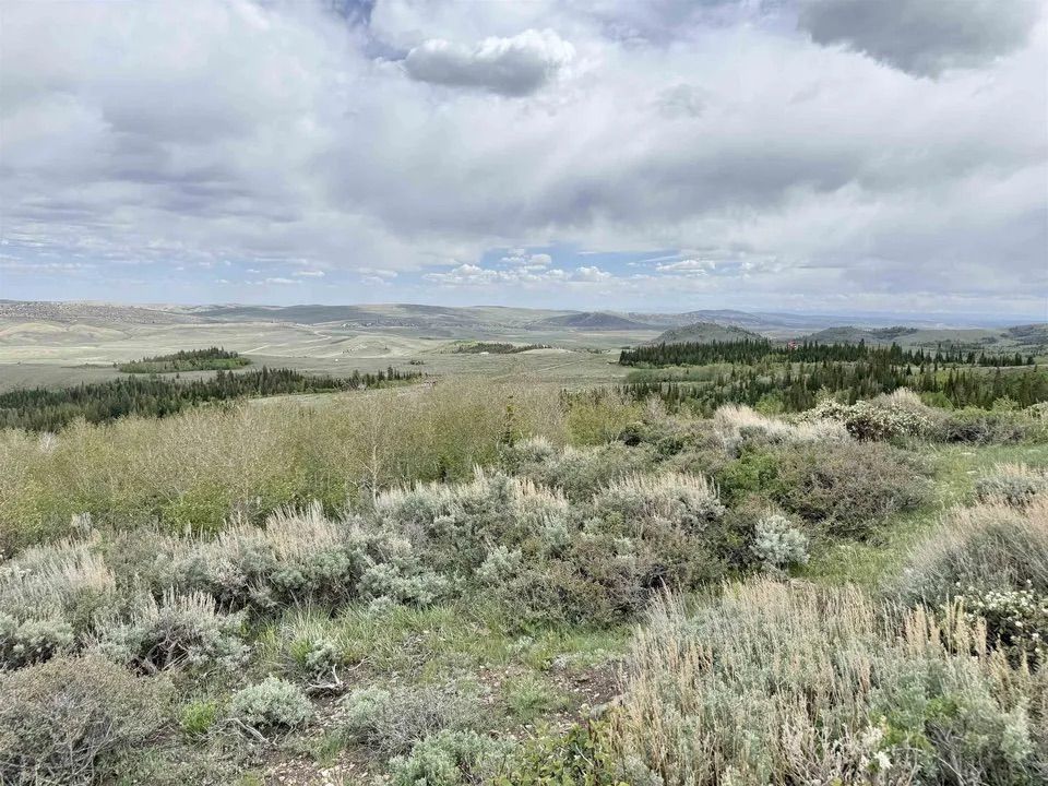 Main image 17