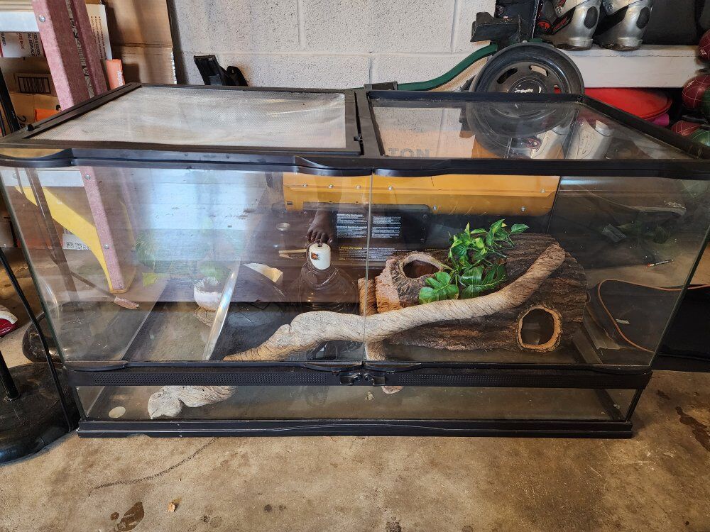 terrarium with front open doors