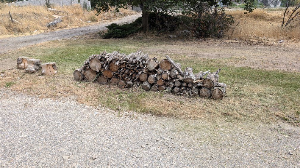 Free Mixed Firewood - Ready to Burn