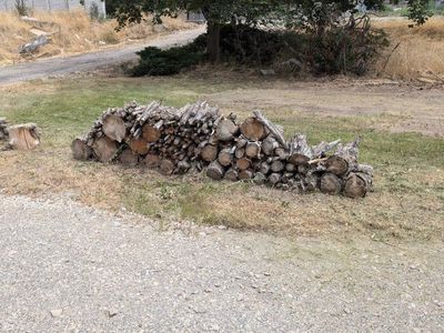 Free Mixed Firewood - Ready to Burn