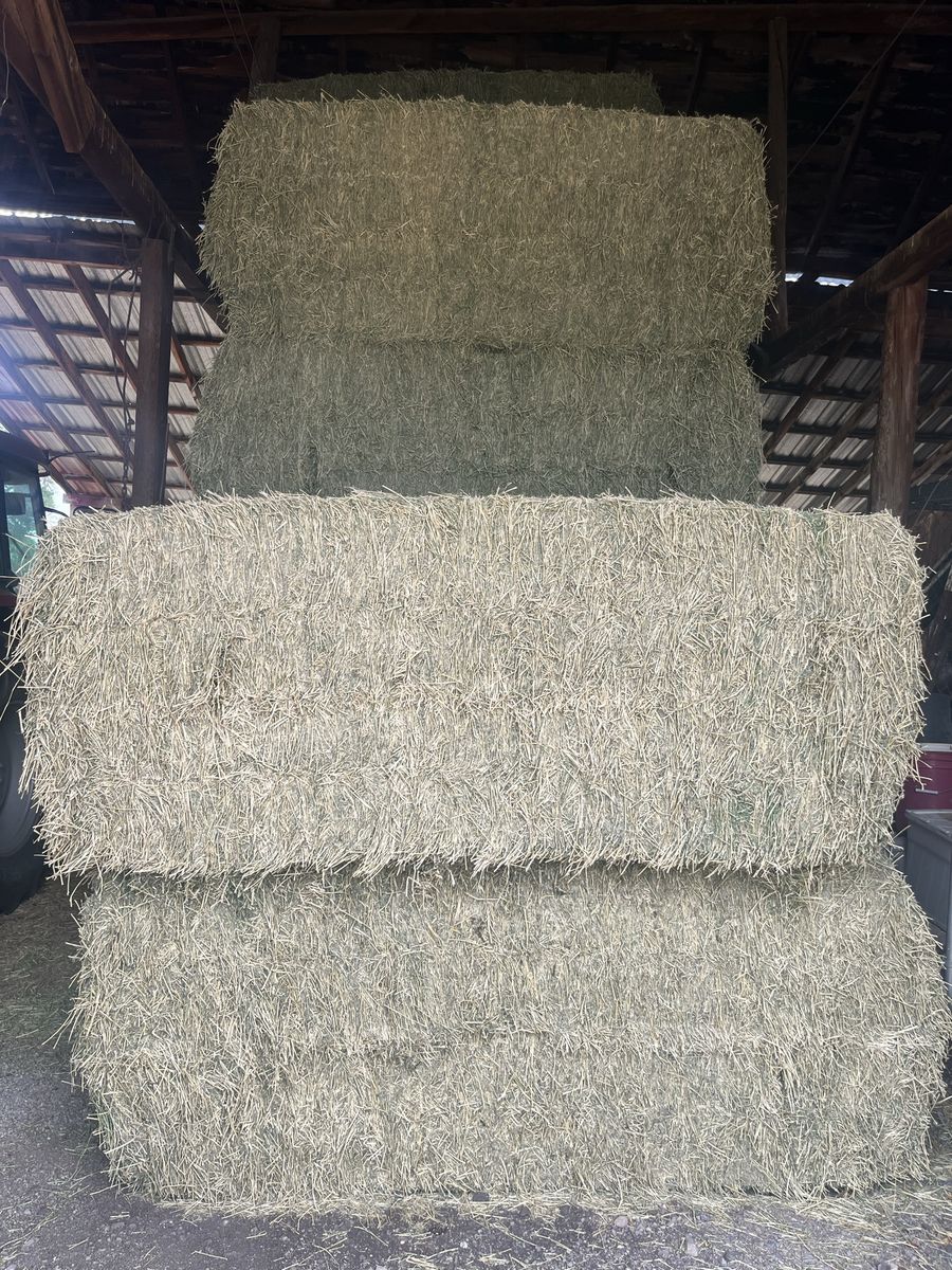 2nd Crop 3x4 alfalfa