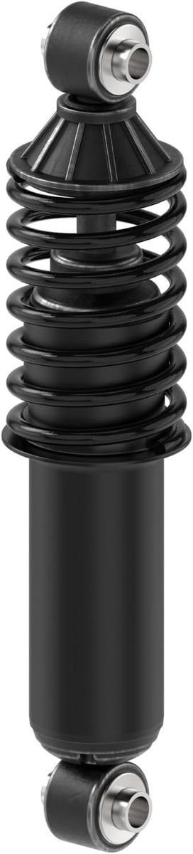 95-07 Chrysler Town & Country, Dodge Caravan Shock Absorber/Coil Spring Set