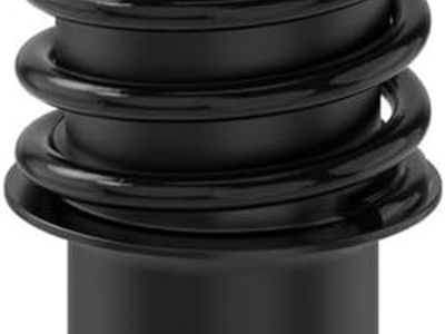 95-07 Chrysler Town & Country, Dodge Caravan Shock Absorber/Coil Spring Set