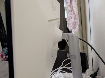 LG 27" 4K Monitor (27BL85U) - USB-C & IPS