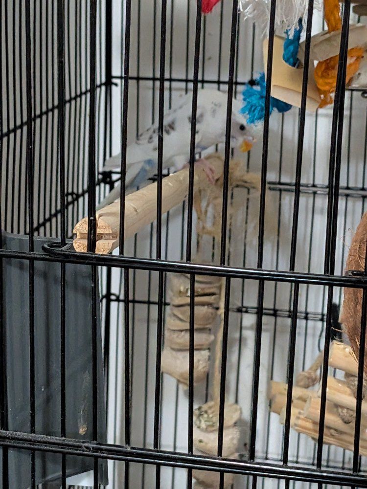 Main image 6