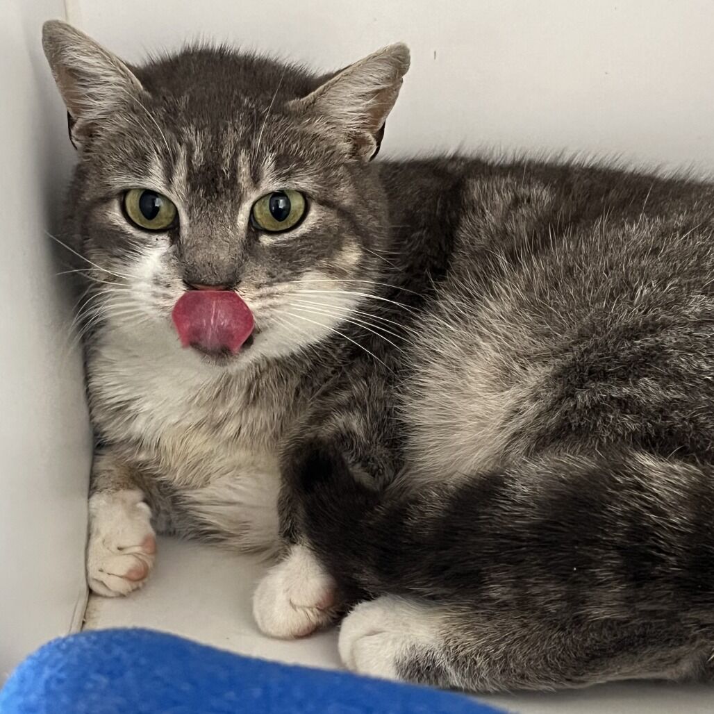 Hello my name is McLeod