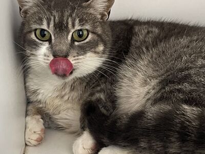 Hello my name is McLeod